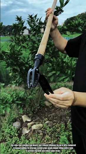 Best Innovation Weeding Tool Machine: How to Remove Roots with Precision