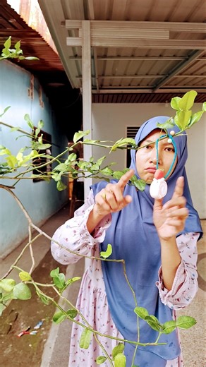 Itu buah apa❓️ #trending #subscribe #shorts #fruits