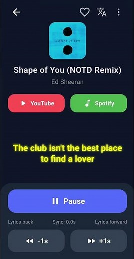 Find Any Song. Read Synced Lyrics. Translate Instantly. | LyricSync