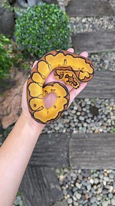 Enchi Yellow Belly/ Asphalt Clown 50% poss het Hypo Male 📩📩📩 | Arcandrez Ball Pythons