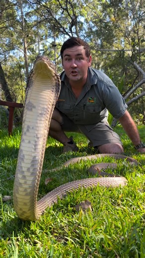 Omg 😨 #UntoldStory #AmericanHistory #discovery | Dicovery