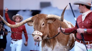 What is the reason behind Texas Mascot being called "Bevo"?