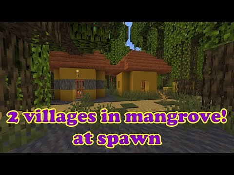 Minecraft 1.19 mangrove swamp village seed