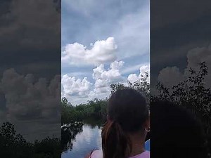 Everglades City Airboat Tour