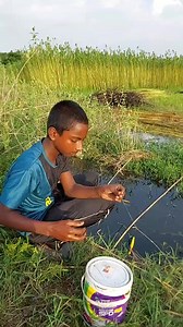 35K views · 826 reactions | Amazing Fish Hunting Techniques | Fishing & Village Tradition | Facebook