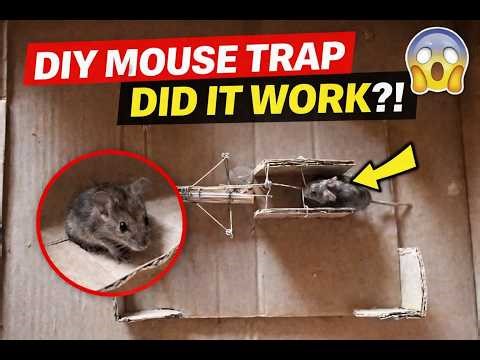 “Crazy Mouse Trap Experiment! 😱”