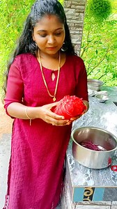 3.6M views · 21K reactions | അച്ഛന്റെ മുണ്ട്ഡൈ ചെയ്തത് വെറുതെ ആയില്ല 殺 #viralvideoシ #trendingreel #dyed #fabricdyeing #dresses #design #ideas #creativity #facebookvideo #instagramreels #facebookviral #tutorial #ChristmasSpecial #reddress #homedying #diy | Meenu Soman | Facebook