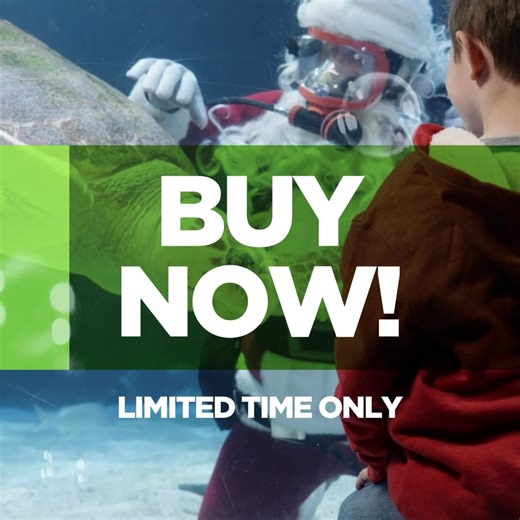 Give your family a reason to smile! 50% off full-priced tickets to Newport Aquarium, holiday magic, bubbles, and Scuba Santa await! | Newport Aquarium