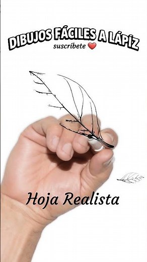 Cómo Dibujar una Hoja Realista 🍃 (Realistic Leaf) ✏️🍃 | Dibujos Fáciles a Lápiz