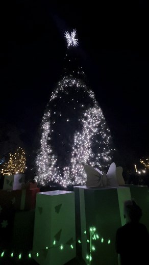 29K views · 955 reactions | ✨ Estes Park Tree Lighting Magic – Last...