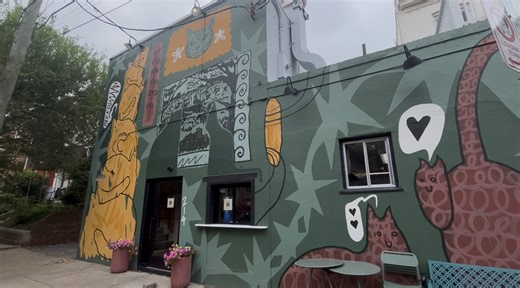 ‘The cat’s out of the bag’: Richmond’s new cat café is on the way