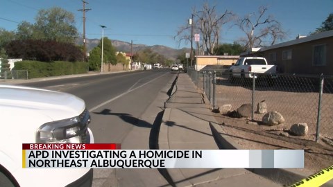Police investigating murder in northeast Albuquerque