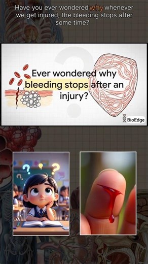 Genetics | Principle of inheritance and variation #shorts #biology