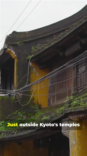 Japan isn’t just about high-speed Shinkansen — it’s home to some of the most breathtaking scenic railways in the world 🇯🇵🚆 From misty mountain passes to rugged coastlines and peaceful river valleys, these railway journeys reveal a slower, more romantic side of Japan: 🌸 Sagano Scenic Railway – A timeless journey through forested gorges and cherry-blossom valleys just outside Kyoto. 🌊 Gonō Line – Hugging the Sea of Japan, with dramatic coastal views and waves crashing against the rocks beside