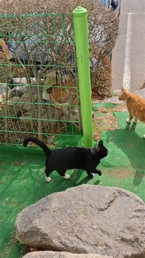 Housekeeper? Come out for a second!