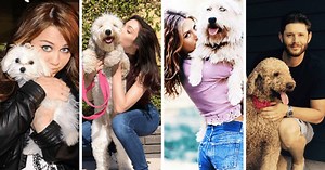24 Celebrities You Had No Idea Were Doodle Owners!