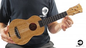 Unbiased Rebel Ukulele Review 2025 - Uke Like The Pros Blog