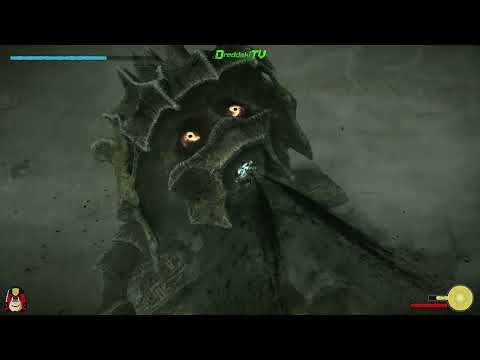 Basaran, The 9th Colossus - Shadow of the Colossus