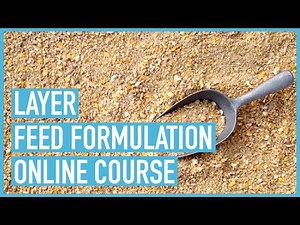 Layers Feed Formulation