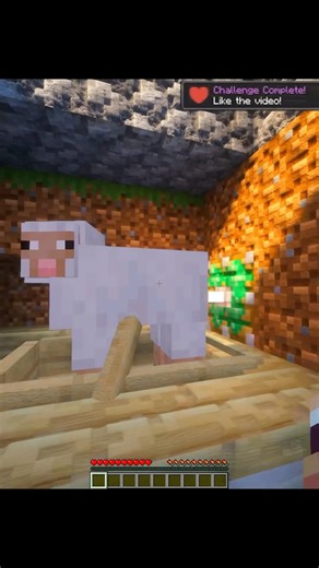 Minecraft Fall Damage is BROKEN💀 #minecraft #shorts #glitch