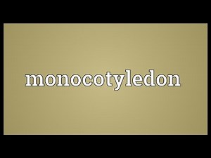 Monocotyledon Meaning