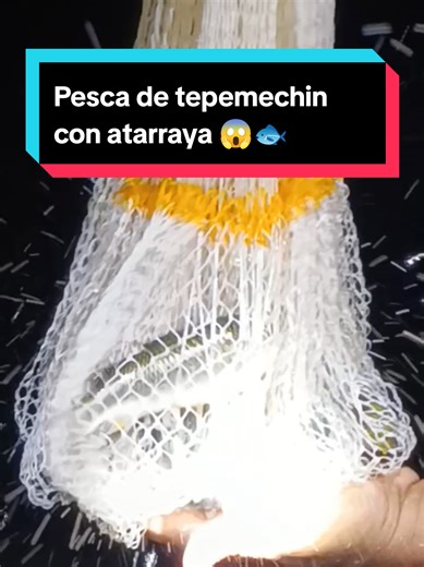 Pesca de Tepemechin con Atarraya en Playa El Venado