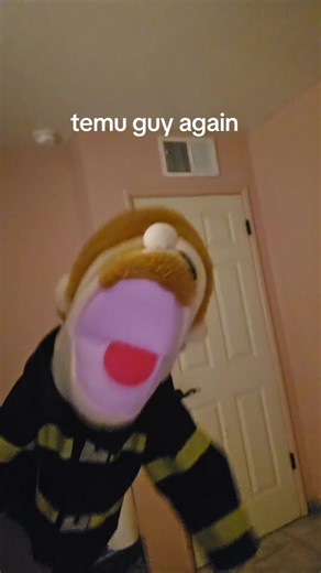 temu guy IS BACK | temu