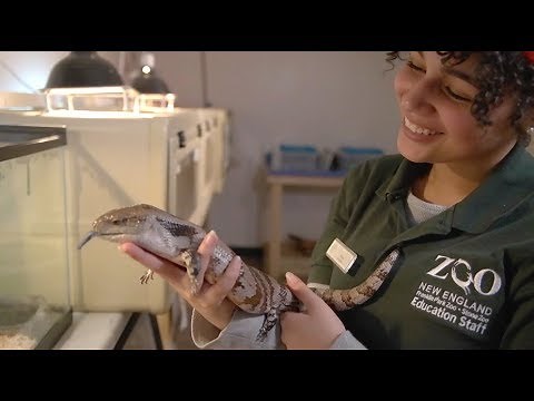 Conservation in Action