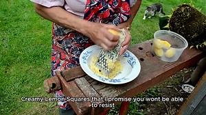Creamy Lemon Squares