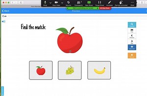 Here's a quick tutorial for how to give student access to boom cards during a Zoom call: | The Autism Helper
