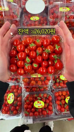 (세일 정보 더 보기) 일산에서 3만원에 이렇게 까지 담을 수 있다고? 제가 사온 품목들 다 보여 드릴게요