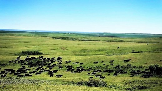 USDA opens applications for Conservation Reserve Program