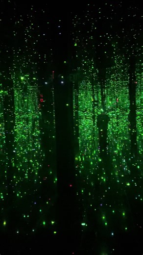 “You Who are Getting Obliterated in the Dancing Swarm of Fireflies” -Yayoi Kasuma I could sit in this room for hours. I walked straight into the wall on my first visit into this room. I love this art installation. ❤️❤️❤️ #yayoikusama #fireflies #infinity #art #arizona