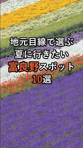 【富良野観光物語】地元目線で選ぶ夏に行きたい富良野観光スポット10選 #富良野 #北海道 #北海道旅行