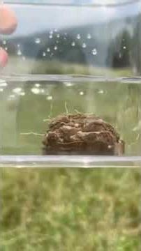 We know you’re stable, but what about your soil?