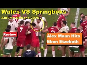 Review: Wales Vs Springboks 2025 Autumn Nations, Analysis, Reactions, Reacap, Eben Etzebeth Red Card