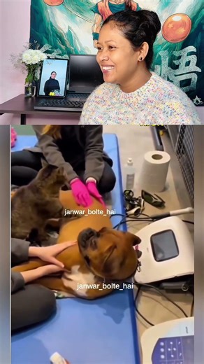 Gas Problem Ka Treatment Chal Raha Hai 😂 #funnydog#animalcomedy #dogfunny #viralshorts #desidubbing