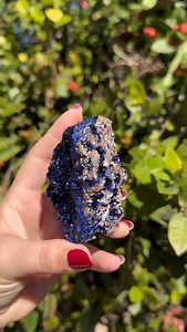 Did you know Azurite is known as “The Stone of Heaven?” This deep blue gem was prized for enhancing inutition & unlocking wisdom. Connected to the third eye, it clears mental fog & expands awareness. We’re so lucky to have found these exceptional pieces in Tucson. They come out of the Zola Mine in Chihuahua, Mexico, and we had the privellege of meeting & speaking to the miner himself! These will be available on our live sale Wednesday, February 26th at 5:00pm ET! - #thevillagemystic #azurite #ge