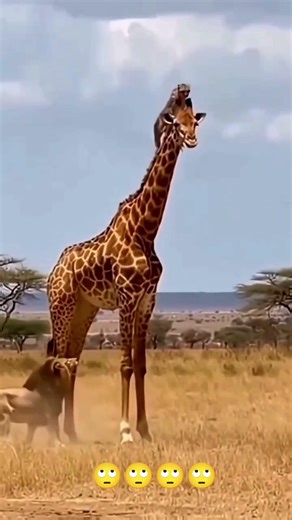 The beauty of the natural environment / 🙄🙄🙄