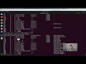 How to check the established connections on your Linux host