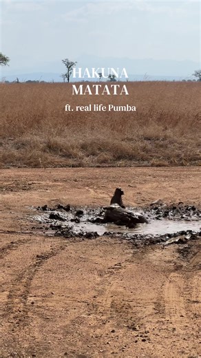 Mr. Pumba's Spectacular Performance in Tanzania
