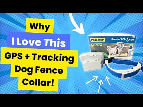 Review of PetSafe Guardian GPS + Tracking Dog Fence Collar