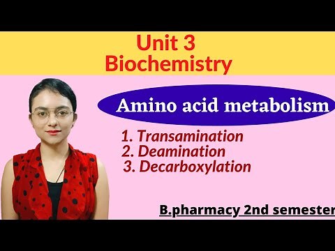 Amino acid metabolism Transamination, Deamination and Decarboxylation with notes Biochemistry 2 sem