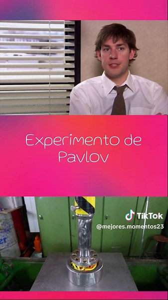 Broma Experimento Pavlov en The Office