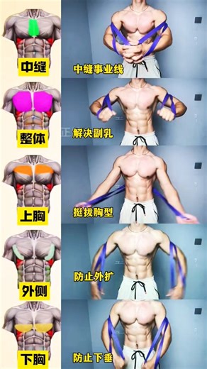 gym Fitness #shortsfeed #motivation #fitnessmotivation #workout #chest #sports #music #hardwork