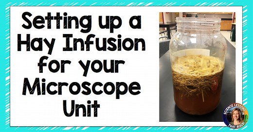 Step by Step Guide for Making a Hay Infusion - Science Lessons That Rock