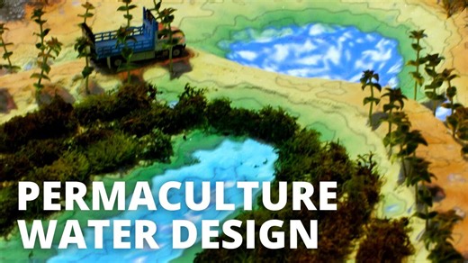 I discovered why water is key to permaculture 🌊