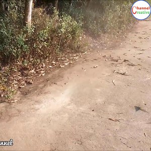 130K views · 1.1K reactions | Build a Air Bike at home - v2 - Using 2-Stroke 33cc Engine - Tutorial | Creative Channel | Facebook