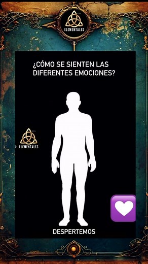 Meta Elementales on TikTok