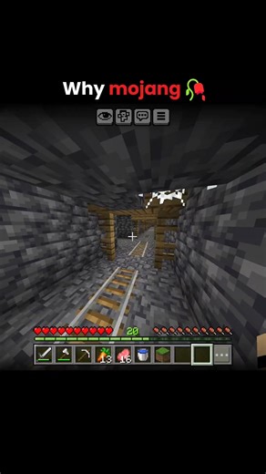 Minecraft bugrock moments